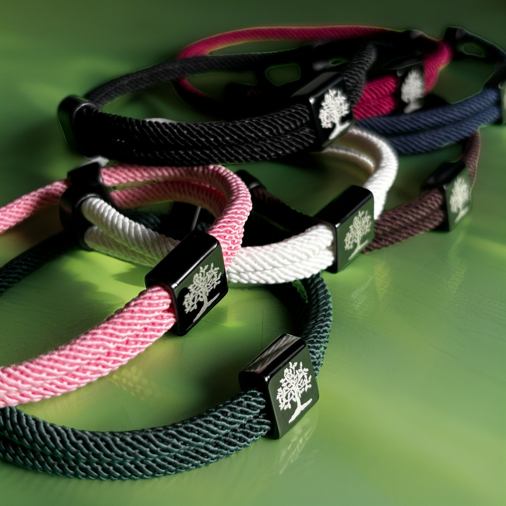 Racines de Gaïa (Bracelets familiales)